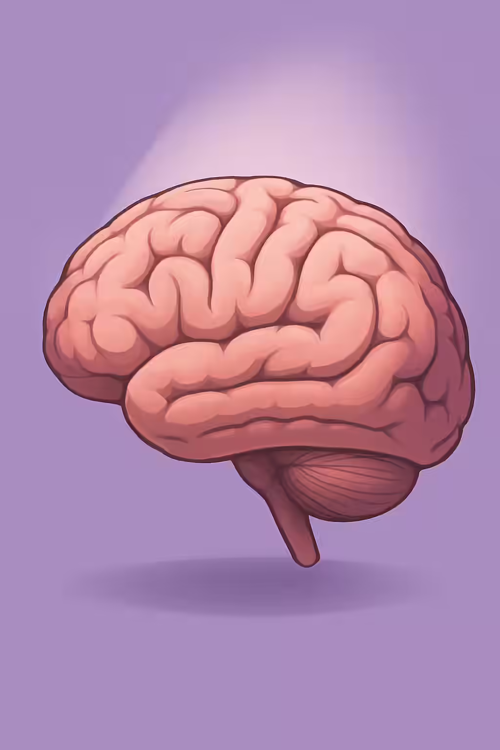 category image